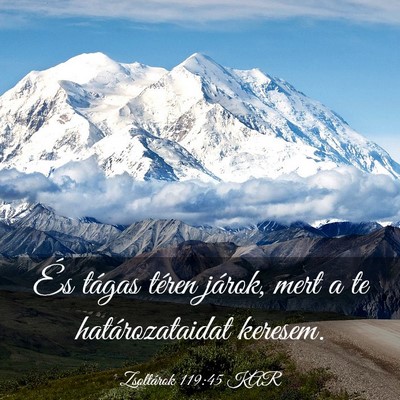 Picture 03 - Zsoltárok 119:45 KAR - És tágas téren járok, mert a te - Bible Verse Picture