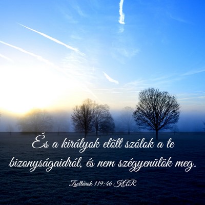 Picture 03 - Zsoltárok 119:46 KAR - És a királyok elõtt szólok a te - Bible Verse Picture