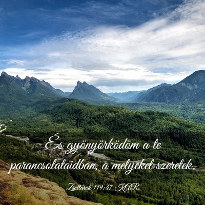 Picture 03 - Zsoltárok 119:47 KAR - És gyönyörködöm a te parancsolataidban, a - Bible Verse Picture