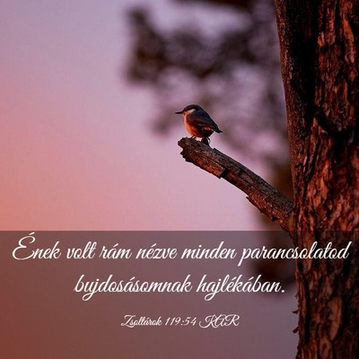 Picture 03 - Zsoltárok 119:54 KAR - Ének volt rám nézve minden parancsolatod - Bible Verse Picture