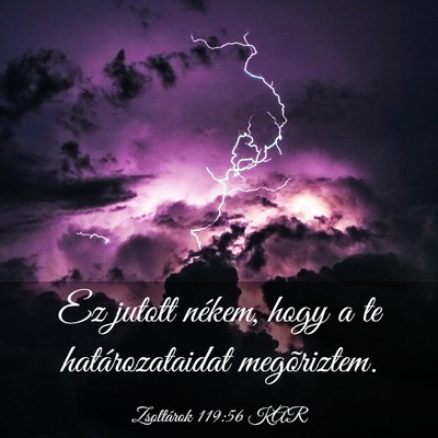 Picture 03 - Zsoltárok 119:56 KAR - Ez jutott nékem, hogy a te határozataidat - Bible Verse Picture