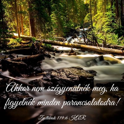 Picture 03 - Zsoltárok 119:6 KAR - Akkor nem szégyenülnék meg, ha figyelnék - Bible Verse Picture