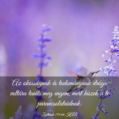 Picture 03 - Zsoltárok 119:66 KAR - Az okosságnak és tudománynak drága voltára - Bible Verse Picture