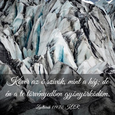 Picture 03 - Zsoltárok 119:70 KAR - Kövér az õ szívök, mint a háj; de én a te - Bible Verse Picture