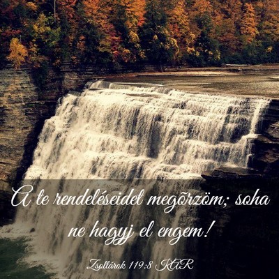 Picture 03 - Zsoltárok 119:8 KAR - A te rendeléseidet megõrzöm; soha ne hagyj el - Bible Verse Picture