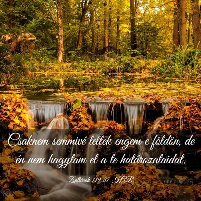 Picture 03 - Zsoltárok 119:87 KAR - Csaknem semmivé tettek engem e földön, de én - Bible Verse Picture