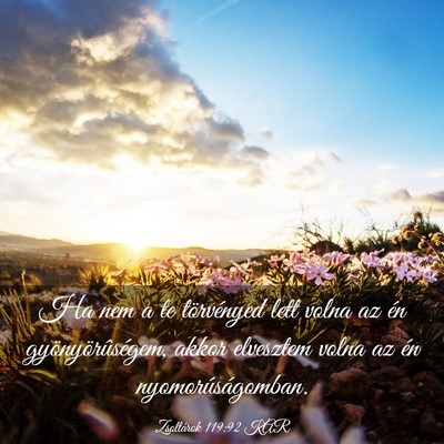 Picture 03 - Zsoltárok 119:92 KAR - Ha nem a te törvényed lett volna az én - Bible Verse Picture