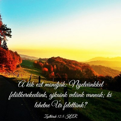 Picture 03 - Zsoltárok 12:5 KAR - A kik ezt mondják: Nyelvünkkel - Bible Verse Picture