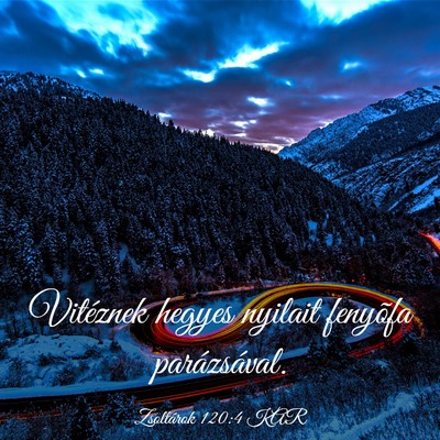 Picture 03 - Zsoltárok 120:4 KAR - Vitéznek hegyes nyilait fenyõfa - Bible Verse Picture