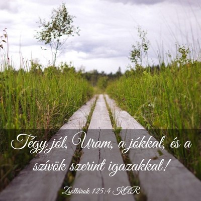 Picture 03 - Zsoltárok 125:4 KAR - Tégy jól, Uram, a jókkal, és a szívök - Bible Verse Picture