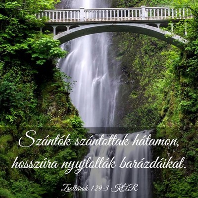 Picture 03 - Zsoltárok 129:3 KAR - Szántók szántottak hátamon, hosszúra - Bible Verse Picture