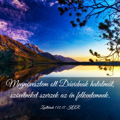 Picture 03 - Zsoltárok 132:17 KAR - Megnövesztem ott Dávidnak hatalmát, - Bible Verse Picture