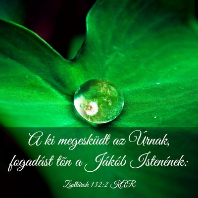 Picture 03 - Zsoltárok 132:2 KAR - A ki megesküdt az Úrnak, fogadást tõn a - Bible Verse Picture