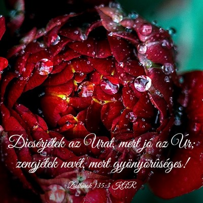 Picture 03 - Zsoltárok 135:3 KAR - Dicsérjétek az Urat, mert jó az Úr; - Bible Verse Picture