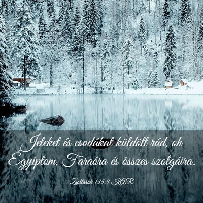 Picture 03 - Zsoltárok 135:9 KAR - Jeleket és csodákat küldött rád, oh - Bible Verse Picture