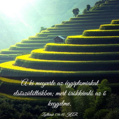 Picture 03 - Zsoltárok 136:10 KAR - A ki megverte az égyiptomiakat - Bible Verse Picture