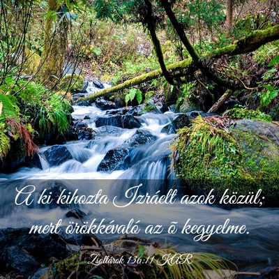 Picture 03 - Zsoltárok 136:11 KAR - A ki kihozta Izráelt azok közül; mert - Bible Verse Picture