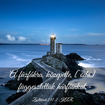 Picture 03 - Zsoltárok 137:2 KAR - A fûzfákra, közepette, [oda] függesztettük - Bible Verse Picture