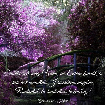 Picture 03 - Zsoltárok 137:7 KAR - Emlékezzél meg, Uram, az Edom fiairól, a kik - Bible Verse Picture