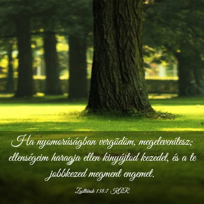 Picture 03 - Zsoltárok 138:7 KAR - Ha nyomorúságban vergõdöm, megelevenítesz; - Bible Verse Picture