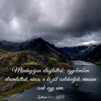 Picture 03 - Zsoltárok 14:3 KAR - Mindnyájan elhajlottak; egyetemben elromlottak, - Bible Verse Picture