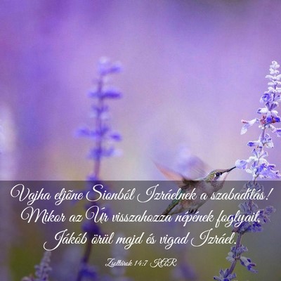 Picture 03 - Zsoltárok 14:7 KAR - Vajha eljõne Sionból Izráelnek a szabadítás! - Bible Verse Picture
