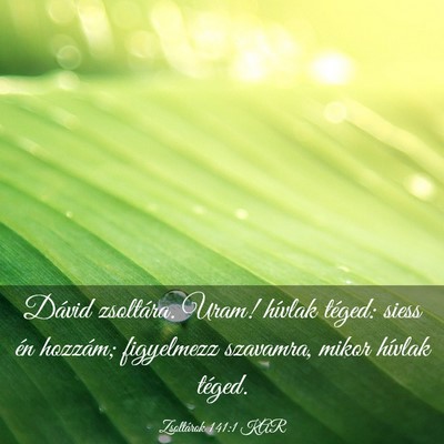 Picture 03 - Zsoltárok 141:1 KAR - Dávid zsoltára. Uram! hívlak téged: siess én - Bible Verse Picture
