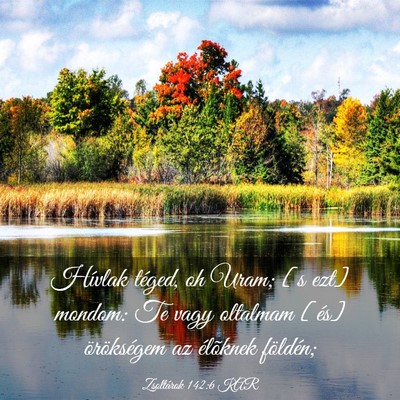 Picture 03 - Zsoltárok 142:6 KAR - Hívlak téged, oh Uram; [s ezt] mondom: Te vagy - Bible Verse Picture