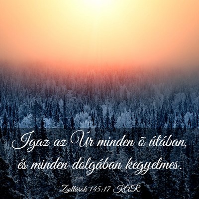 Picture 03 - Zsoltárok 145:17 KAR - Igaz az Úr minden õ útában, és minden - Bible Verse Picture
