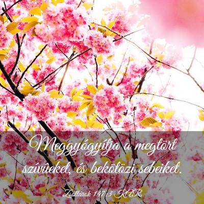 Picture 03 - Zsoltárok 147:3 KAR - Meggyógyítja a megtört szívûeket, és - Bible Verse Picture