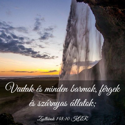 Picture 03 - Zsoltárok 148:10 KAR - Vadak és minden barmok, férgek és szárnyas - Bible Verse Picture