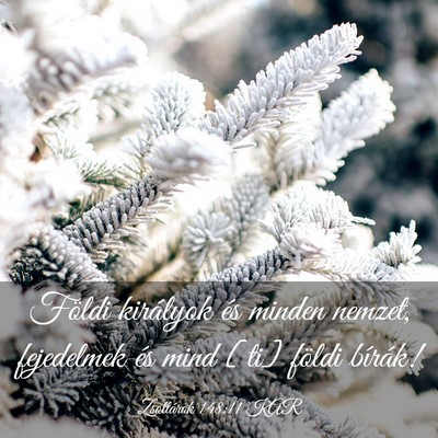 Picture 03 - Zsoltárok 148:11 KAR - Földi királyok és minden nemzet, fejedelmek - Bible Verse Picture