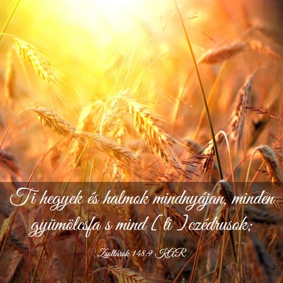 Picture 03 - Zsoltárok 148:9 KAR - Ti hegyek és halmok mindnyájan, minden - Bible Verse Picture