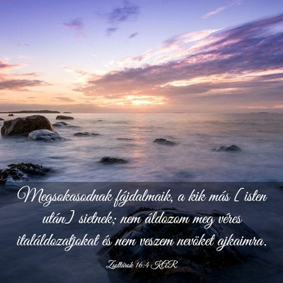 Picture 03 - Zsoltárok 16:4 KAR - Megsokasodnak fájdalmaik, a kik más [isten - Bible Verse Picture