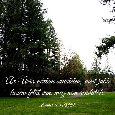 Picture 03 - Zsoltárok 16:8 KAR - Az Úrra néztem szüntelen; mert jobb kezem - Bible Verse Picture