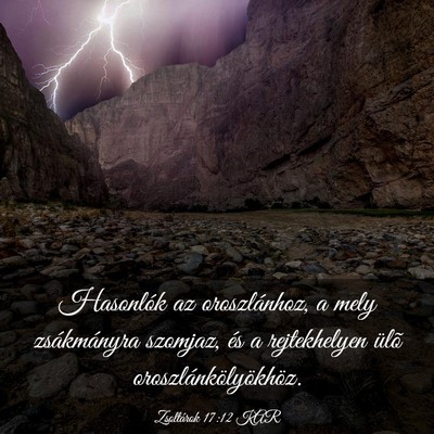 Picture 03 - Zsoltárok 17:12 KAR - Hasonlók az oroszlánhoz, a mely zsákmányra - Bible Verse Picture