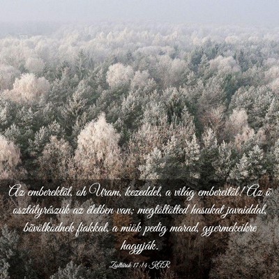 Picture 03 - Zsoltárok 17:14 KAR - Az emberektõl, oh Uram, kezeddel, a világ - Bible Verse Picture