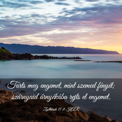 Picture 03 - Zsoltárok 17:8 KAR - Tarts meg engemet, mint szemed fényét; - Bible Verse Picture