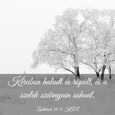 Picture 03 - Zsoltárok 18:11 KAR - Kérubon haladt és röpült, és a szelek - Bible Verse Picture