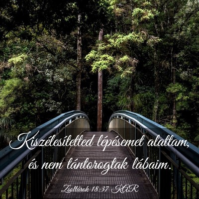 Picture 03 - Zsoltárok 18:37 KAR - Kiszélesítetted lépésemet alattam, és nem - Bible Verse Picture