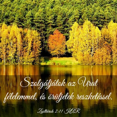 Picture 03 - Zsoltárok 2:11 KAR - Szolgáljátok az Urat félelemmel, és - Bible Verse Picture