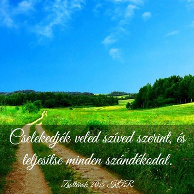 Picture 03 - Zsoltárok 20:5 KAR - Cselekedjék veled szíved szerint, és - Bible Verse Picture