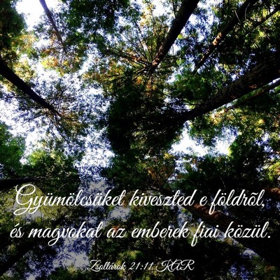 Picture 03 - Zsoltárok 21:11 KAR - Gyümölcsüket kiveszted e földrõl, és - Bible Verse Picture