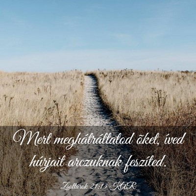 Picture 03 - Zsoltárok 21:13 KAR - Mert meghátráltatod õket, íved húrjait - Bible Verse Picture
