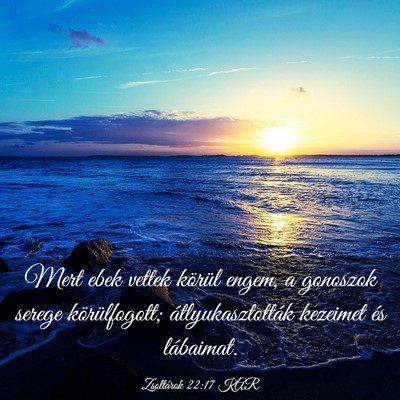 Picture 03 - Zsoltárok 22:17 KAR - Mert ebek vettek körül engem, a gonoszok serege - Bible Verse Picture