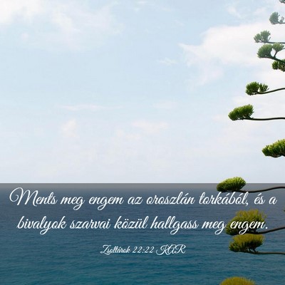 Picture 03 - Zsoltárok 22:22 KAR - Ments meg engem az oroszlán torkából, és a - Bible Verse Picture