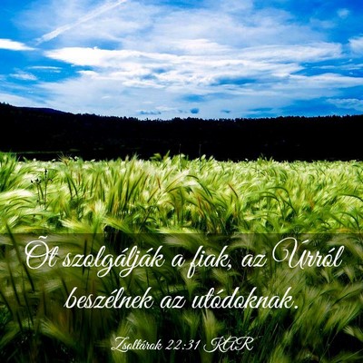 Picture 03 - Zsoltárok 22:31 KAR - Õt szolgálják a fiak, az Úrról beszélnek az - Bible Verse Picture