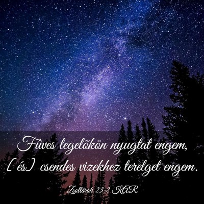 Picture 03 - Zsoltárok 23:2 KAR - Fûves legelõkön nyugtat engem, [és] csendes - Bible Verse Picture
