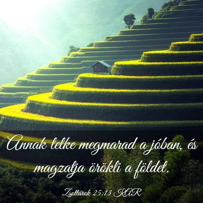 Picture 03 - Zsoltárok 25:13 KAR - Annak lelke megmarad a jóban, és magzatja - Bible Verse Picture