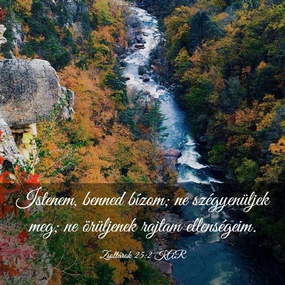 Picture 03 - Zsoltárok 25:2 KAR - Istenem, benned bízom; ne szégyenüljek meg; ne - Bible Verse Picture